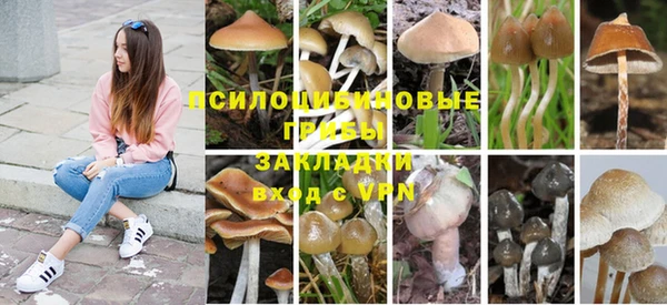 каннабис Арсеньев